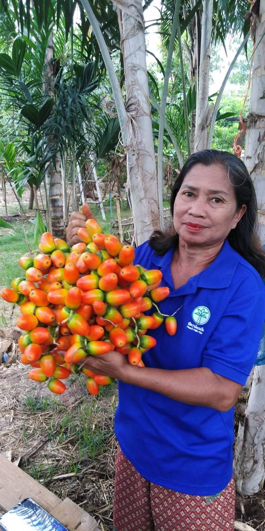 ภาพที่ 2