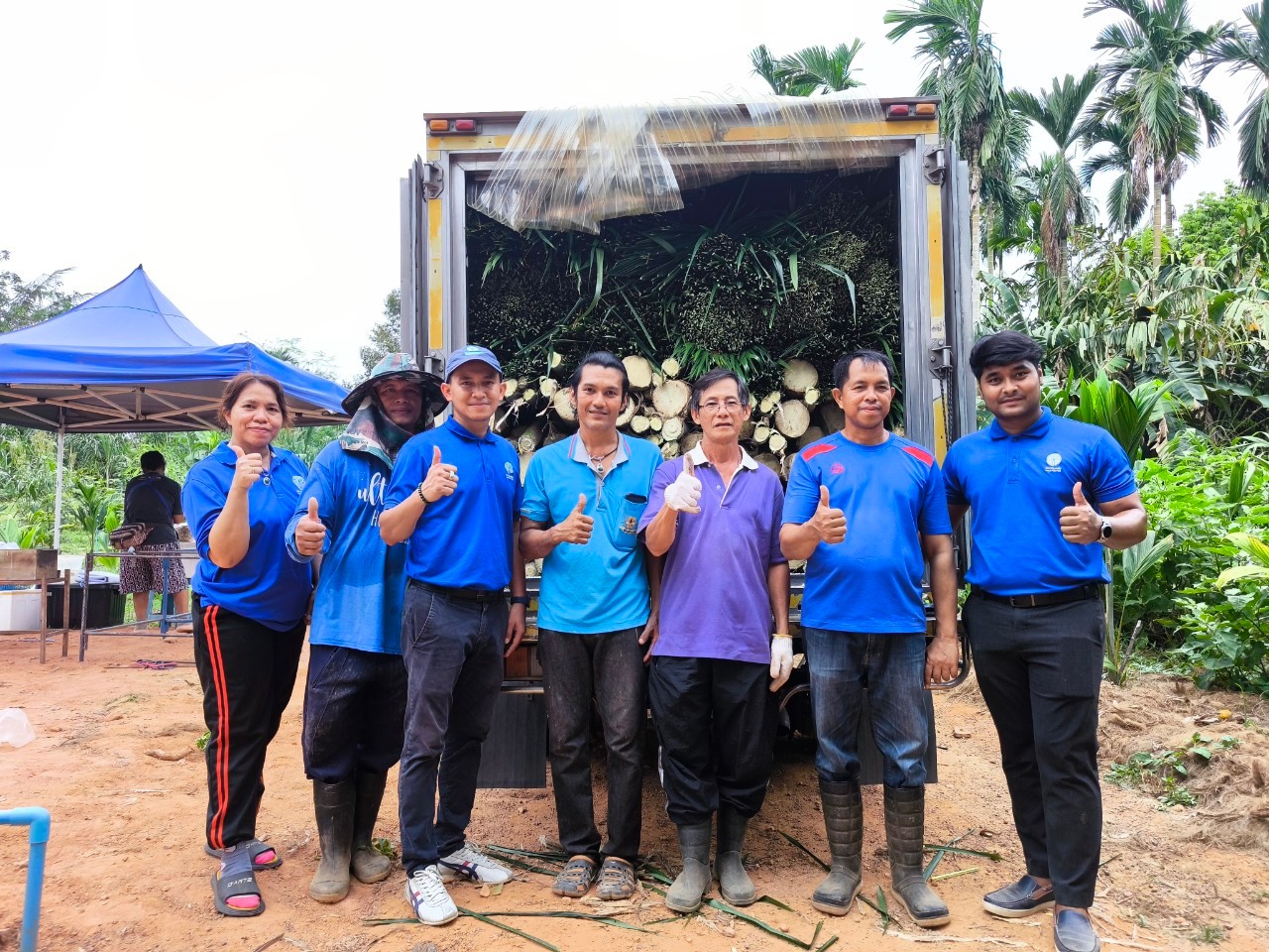 ภาพที่ 3