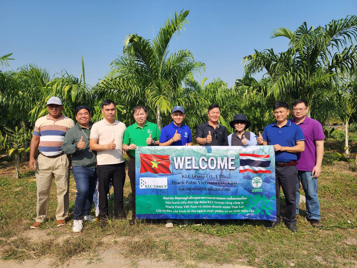 ภาพที่ 6